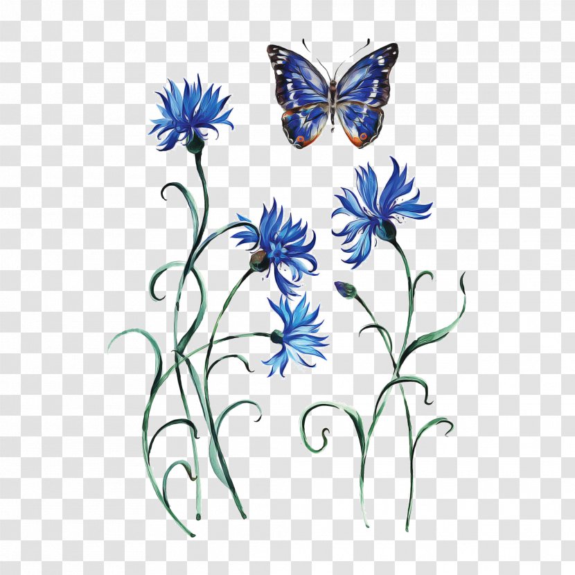 Monarch Butterfly Drawing - Wildflower - Brushfooted Lycaenid Transparent PNG