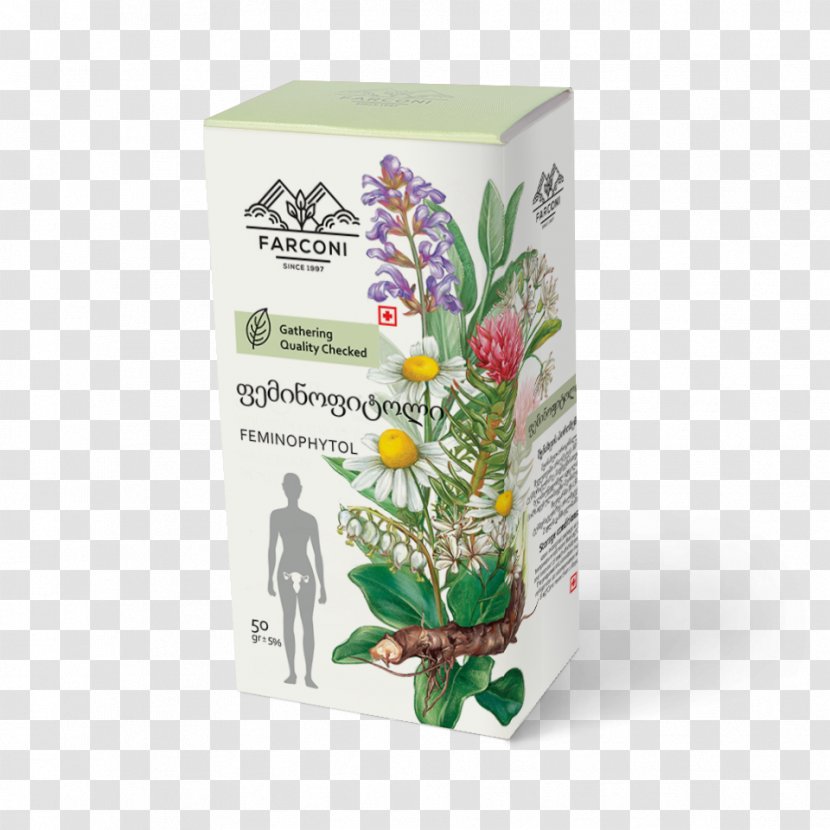 Plant - Salvia Officinalis Transparent PNG