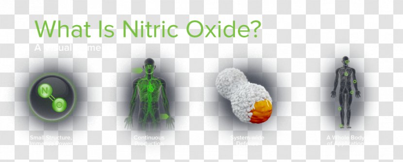 Nitric Oxide Acid Inflammation Novan - Research Transparent PNG