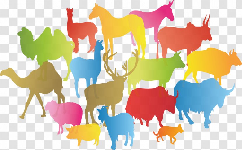 16 Mammals Retail Design Illustration Human - Wildlife - Llama Transparent PNG