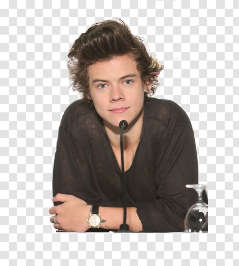 Harry Styles Zayn Malik Where We Are Tour The X Factor One Direction: - Frame - Concert FilmPs Style Transparent PNG