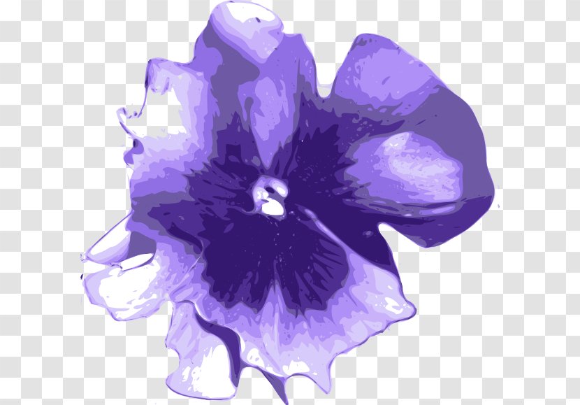 Drawing Flower Clip Art - Mallow Family - Purple Watercolor Flowers Transparent PNG