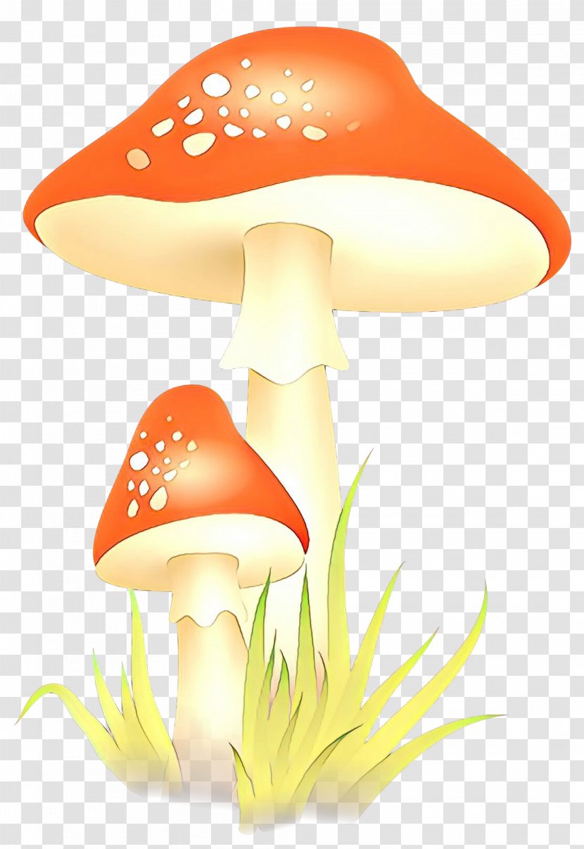 Clip Art Illustration Image Mushroom - Orange Transparent PNG