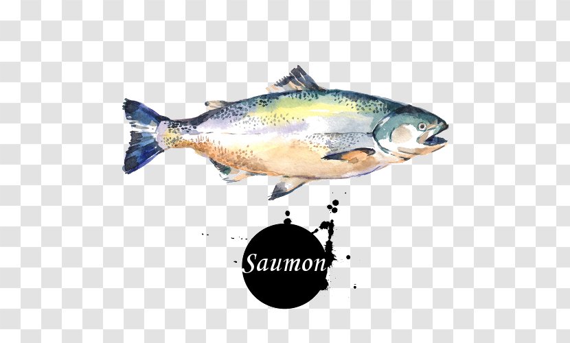 Watercolor Painting Coho Salmon Art - Sardine Transparent PNG