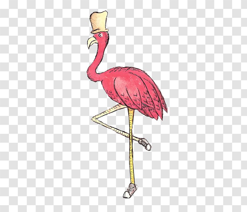 Ostrich - Flamingo - Adobe Freehand Transparent PNG