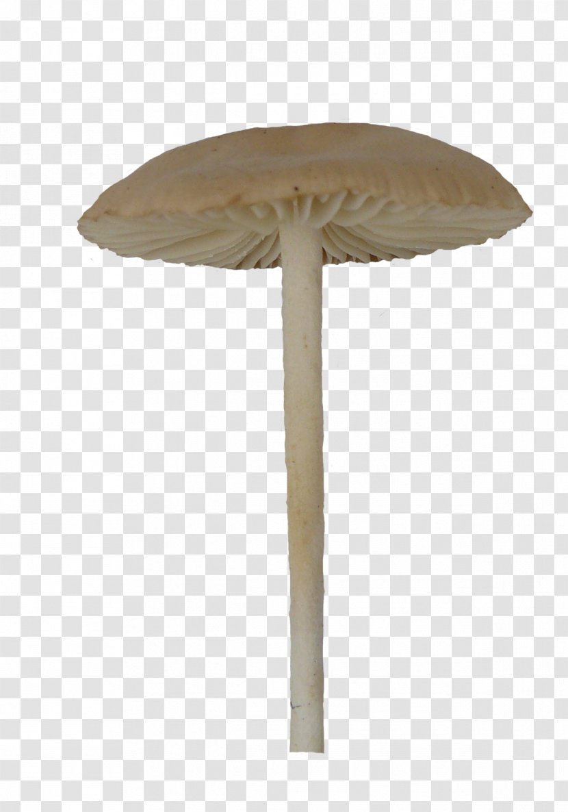 Mushroom Umbrella Fungus Macrolepiota Procera - Furniture - Necked Mushrooms Transparent PNG