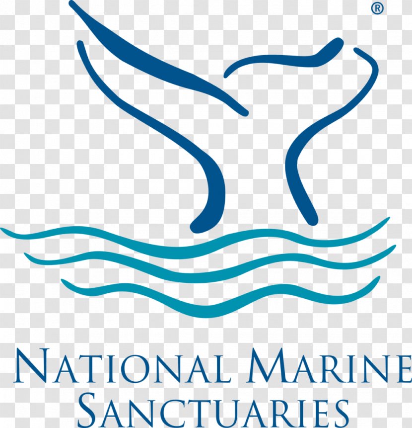 Monterey Bay National Marine Sanctuary United States Stellwagen Bank Greater Farallones Channel Islands - Brand - Beak Transparent PNG