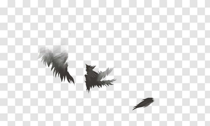 Lion Feather Agility Skill 0 - Tail Transparent PNG