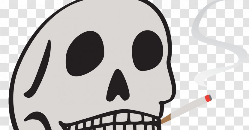 Nose Skull Bone Head Face Transparent PNG