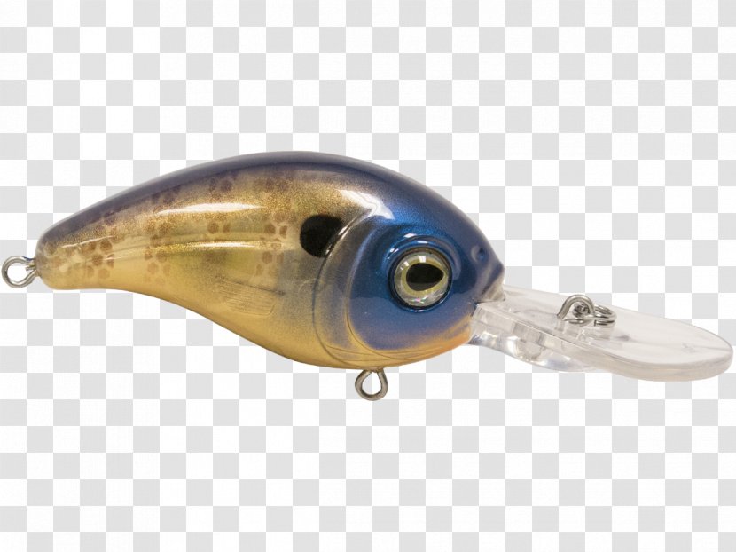 Spoon Lure Fish - Fishing Transparent PNG