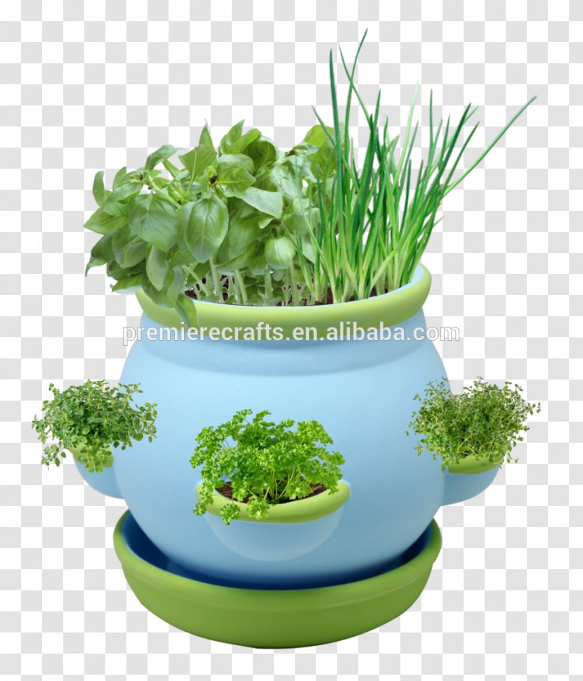 Herb Flowerpot Cutting Leaf Vegetable White - Black - Grass Transparent PNG