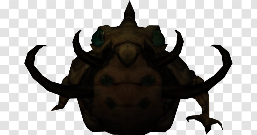 Frog Wikia True Toad Amphibian Stone - Dam Transparent PNG