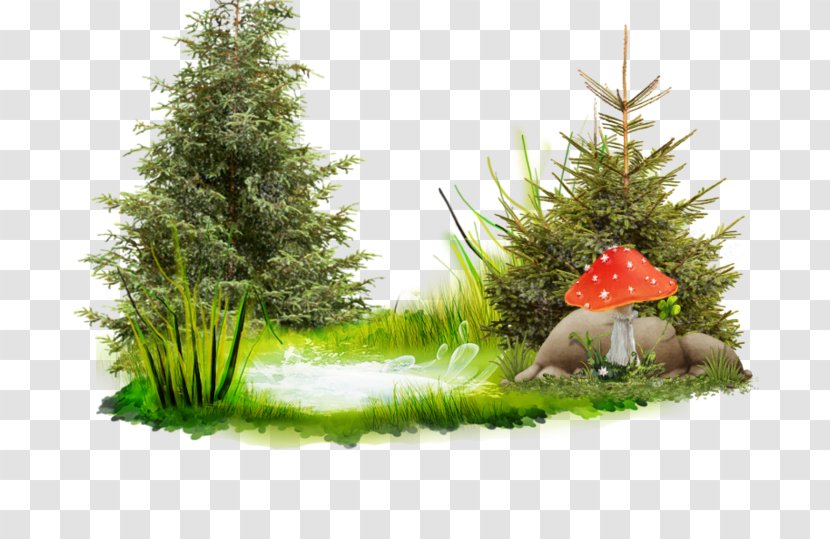 Pond Библионочь Download Clip Art - Ya - Christmas Decoration Transparent PNG