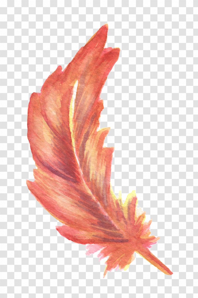 Feather Drawing Watercolor Painting - Flowering Plant - Red Transparent PNG