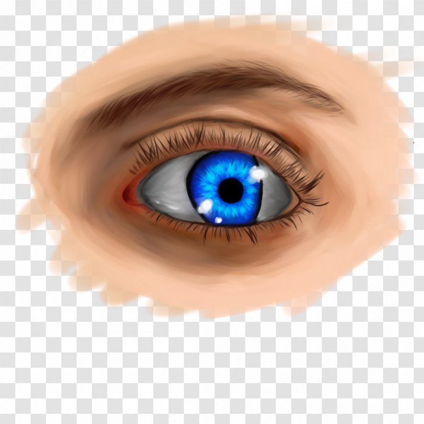 Contact Lenses Close-up - Tree - Eyebrow Drawing Transparent PNG
