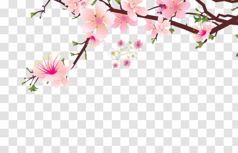 Petal Blossom Flower - Pink Chinese Peach Decorative Pattern Transparent PNG