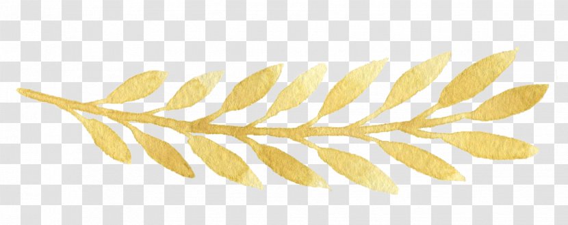 Leaf Gold - Petal - Golden Leaves Transparent PNG