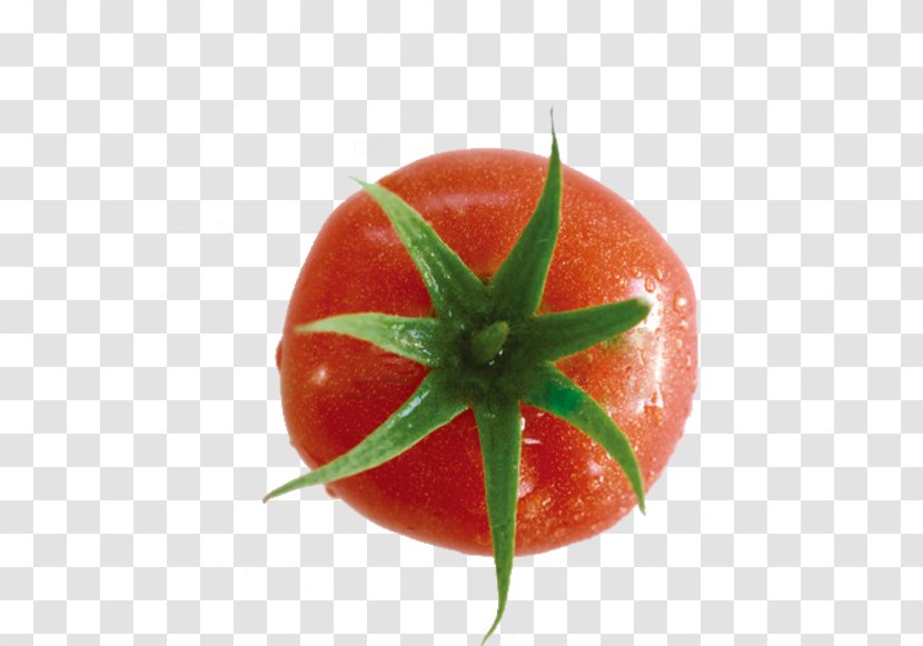 Cherry Tomato Vegetable Food Clip Art - Apple Transparent PNG