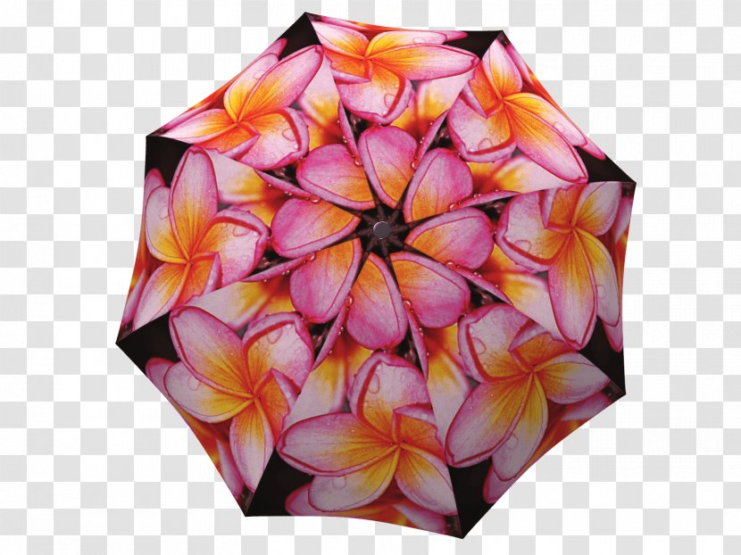 Umbrella Gift Clothing Accessories Raincoat - Symmetry - Pink Magnolia Transparent PNG