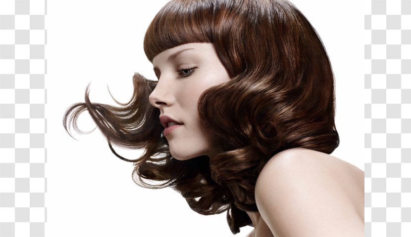 Beauty Parlour Cosmetologist Beautylicious Hair - Long Transparent PNG
