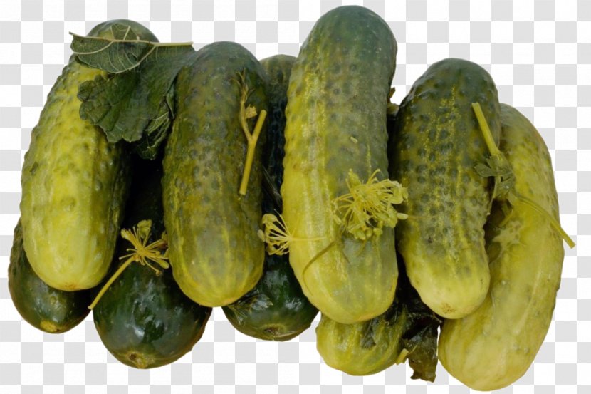Pickled Cucumber Spreewald Gherkins Pickling Food - Gourd And Melon Family Transparent PNG