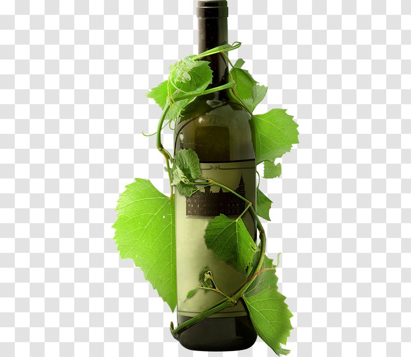 Red Wine Laujar De Andarax Poster - Green Tree Vine Wrapped Around The Bottle Transparent PNG