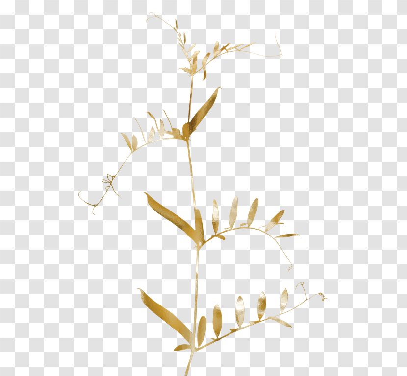 Twig Leaf Gold Tree - Branch Transparent PNG