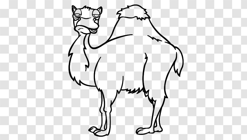 Dromedary Bactrian Camel Drawing Coloring Book Whiskers - Fictional Character - Painting Transparent PNG