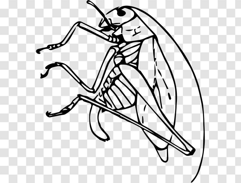 Public Domain Clip Art - Fictional Character - Cricket Insect Transparent PNG