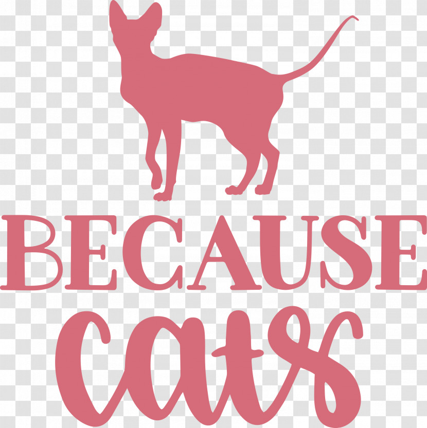 Because Cats Transparent PNG