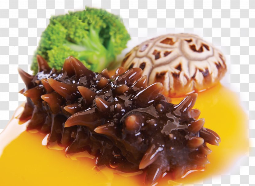 Sea Cucumber Food Eating - Nutrition Transparent PNG