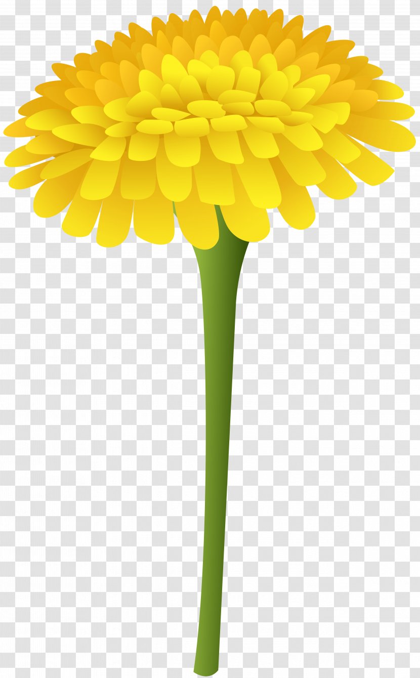 Common Dandelion Flower Computer File - Plant Stem - Clip Art Image Transparent PNG