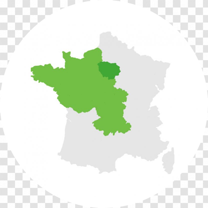 France Desktop Wallpaper Leaf Computer Font - Green Transparent PNG