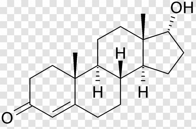 Testosterone Anabolic Steroid Androgen Nandrolone - Tree - Watercolor Transparent PNG