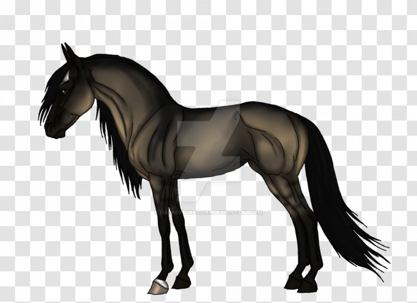 Mane Mustang Stallion Foal Colt - Livestock Transparent PNG