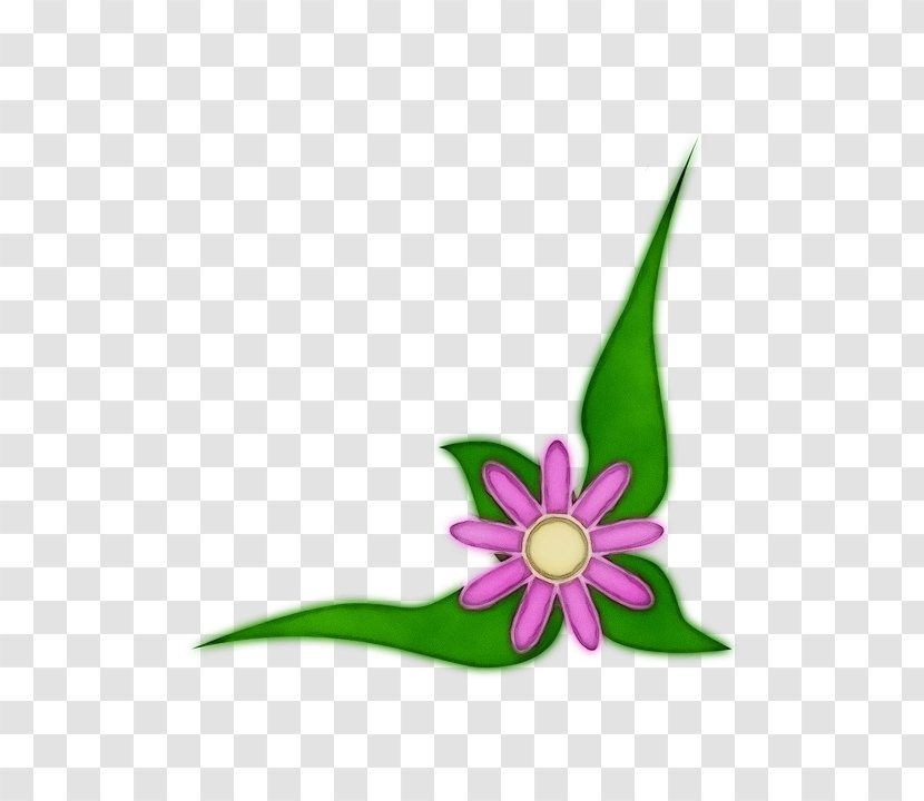Green Petal Flower Plant Pink - Wet Ink - Magenta Leaf Transparent PNG
