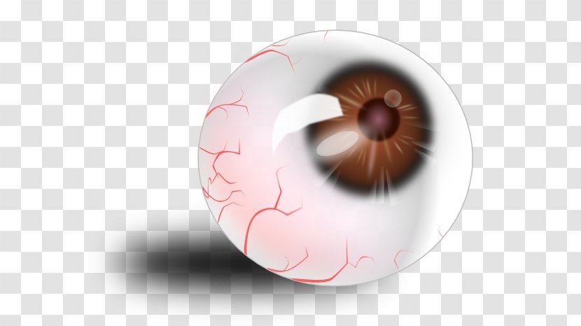 Human Eye Clip Art - Flower - Cartoon Eyeball Transparent PNG