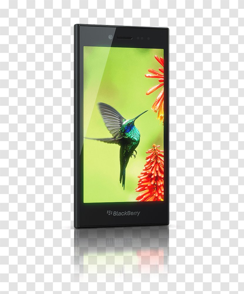 BlackBerry Z10 Classic Q10 Passport - Blackberry - Leap Transparent PNG