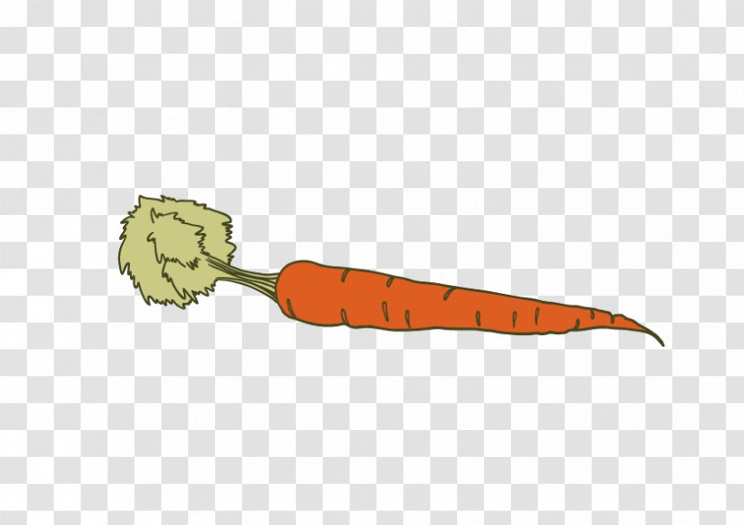 Carrot Vegetable Icon - Radish Transparent PNG