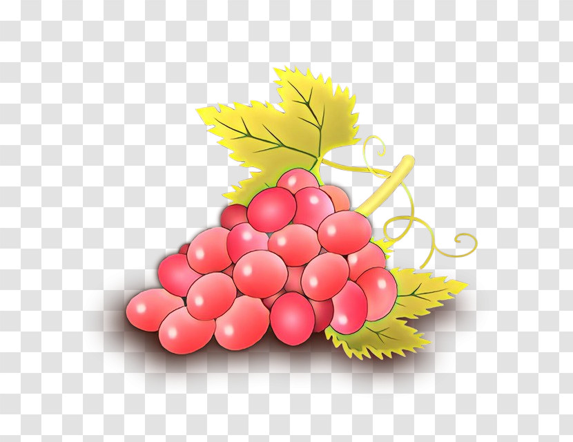 Grape Seedless Fruit Fruit Leaf Grapevine Family Transparent PNG