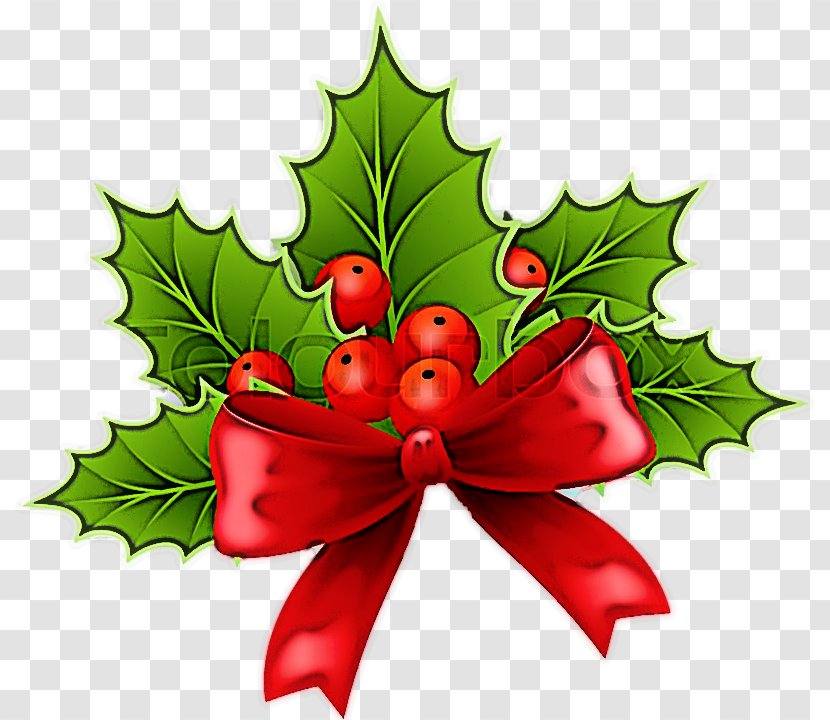 Christmas Decoration - Holly - Flower Eve Transparent PNG