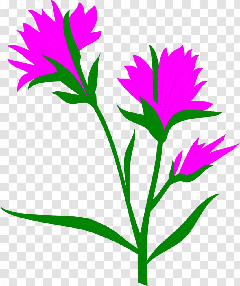 Self-pollination Pollen Flower Plant - Antera - Indian Paintbrush Cliparts Transparent PNG