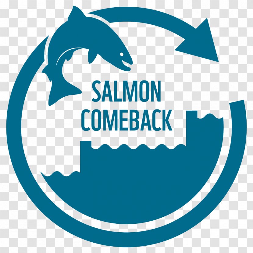 Atlantic Salmon Basel Rhine Ecology - Switzerland Transparent PNG