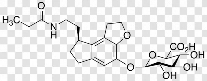 Asymmetric Dimethylarginine Amino Acid Structure - Silhouette - Ethyl Glucuronide Transparent PNG