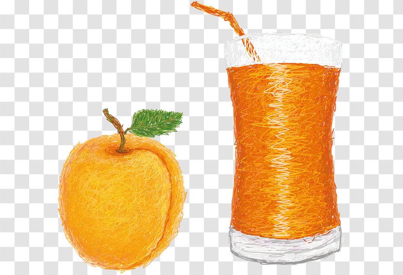 Orange Drink Juice Fizzy Drinks Soft Transparent PNG