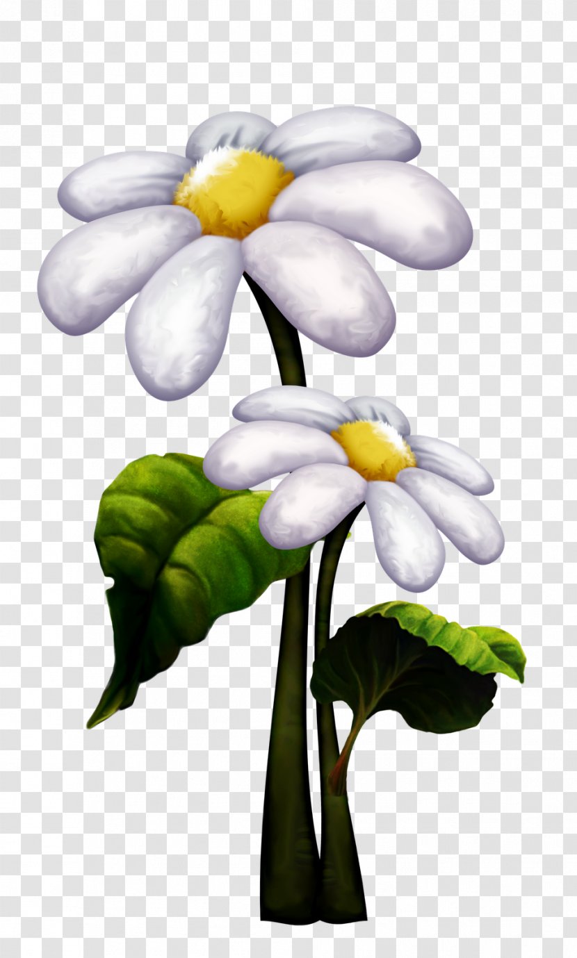 Photography Petal Flower Clip Art - Spring - Duende Transparent PNG