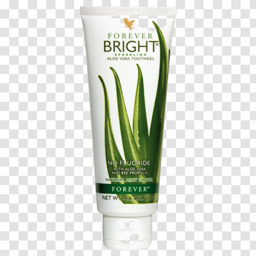 Aloe Vera Forever Living Products Gel Toothpaste - Plant Transparent PNG