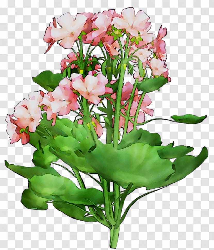 Floral Design Cut Flowers Flower Bouquet Plant Stem - Annual - Pink Transparent PNG