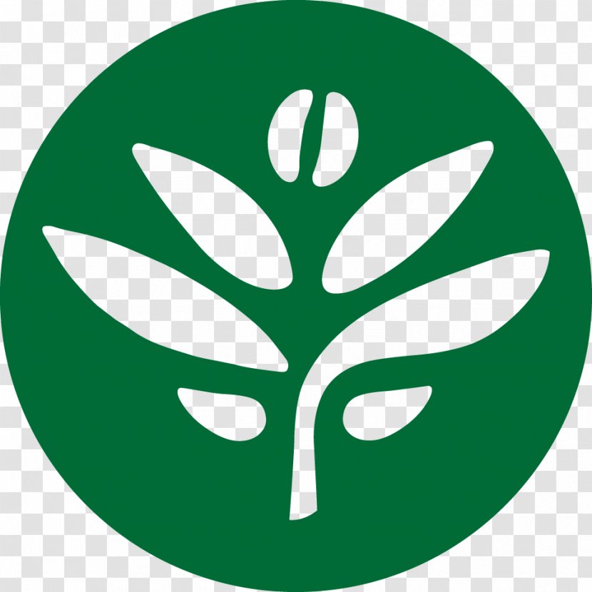 Green Sage Cafe Westgate Tea Take-out - Tree Transparent PNG