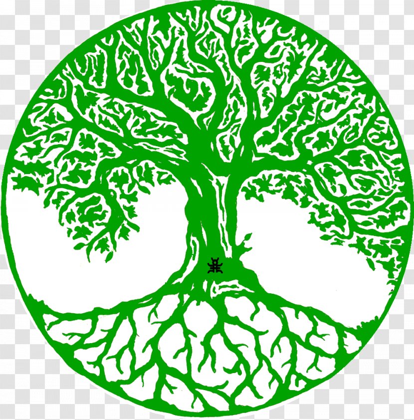 Tree Of Life Drawing Decal - Woody Plant Transparent PNG